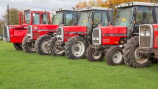 Cheffins to host sale of over 40 classic Massey Fergusons