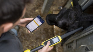 £12m investment for livestock management app Breedr