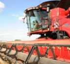 Machinery Focus: Mushrooms and fast horses – the growing technology gap