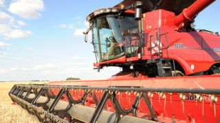 Machinery Focus: Mushrooms and fast horses – the growing technology gap