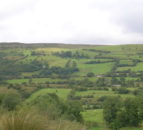 Natural England summit aims to reverse nature's decline