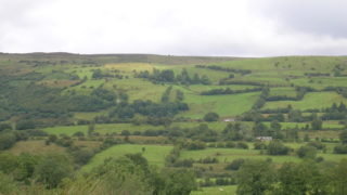 Calls for recognition of farmers’ carbon offsetting efforts