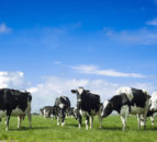 New JBS fertiliser facility has capacity to create 150,000t annually