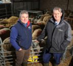 NI: £300m Single Application funding window opens today