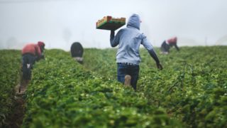 IPES: Food system reform needed to avoid ‘unprecedented hunger’