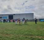 M&S to showcase local agriculture at Balmoral 2022