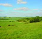 Strutt and Parker to complete carbon audits on farms in Cairngorms