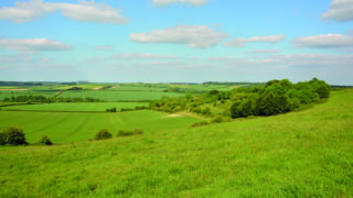New Environmental Farmers Group sets out its ambitions