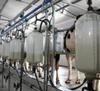 Lakeland CEO ‘reasonably confident’ dairy markets will cover farm costs