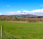 Latest EFS application window opens for NI farmers