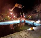 Pics: Young bullock rescued from swimming pool in Devon