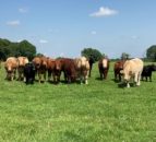 Opinion: It’s not all bad news, where agriculture is concerned