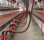 GB milk production could fall by 605 million litres - AHDB