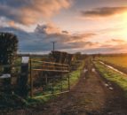 NI: Farmers For Action issues farmgate-supply warning for food processors