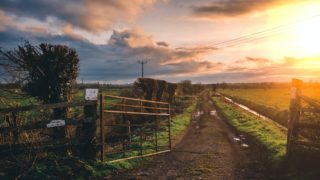 NI: Farmers For Action issues farmgate-supply warning for food processors