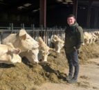 Welsh man to study calf production in South America