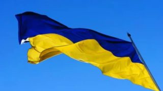 Gov to cut tariffs on Ukrainian poultry imports