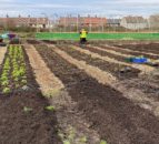 Bristol city farm to benefit from £2.2m funding