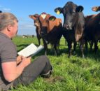 Stories from the farm of agri-influencer Tom Pemberton