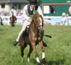 Royal Bath & West Show to run HOYS qualifiers