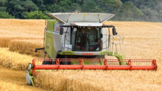 Experts warn that ‘excessive’ commodity speculation threatens food security