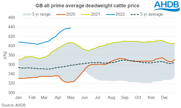 cattle prices