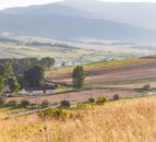 World Farmers’ Organisation to return to in-person General Assembly