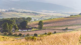 World Farmers’ Organisation to return to in-person General Assembly