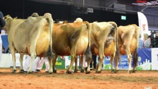 Three more judges confirmed for UK Dairy Day