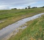 North Yorkshire project improves river water quality