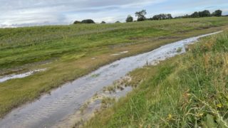 North Yorkshire project improves river water quality