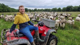 ‘I would always be out’: NI sheep farmer shares his story ahead of pride