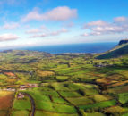 British and Irish farmers meet to discuss NI Protocol