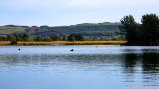 Farmers urged to keep all dogs on leads when walking around freshwater bodies