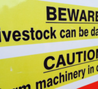 21 killed in agri-sector work-related incidents last year