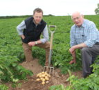 North Down growers starting to dig early season potatoes