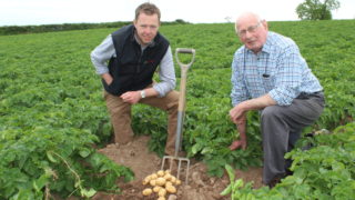North Down growers starting to dig early season potatoes