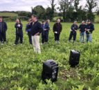 Beef Focus: ‘Growing multi-species swards requires a total mindset change’