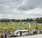 Omagh Show set for return in July after Covid-19 pandemic