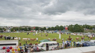 Omagh Show set for return in July after Covid-19 pandemic