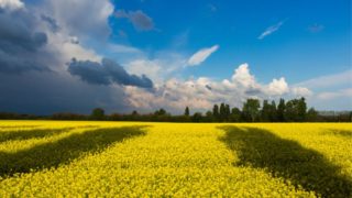 USDA partners with Ukraine to protect food security