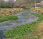 Dorset chalk stream benefits from EA funding