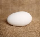 Co-op suspends purchase of Quack! eggs due to animal-welfare concerns