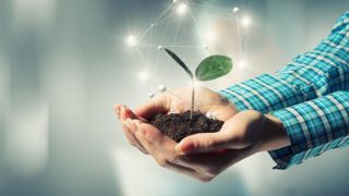 Origin Enterprises sees 47% rise in group revenue