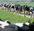 GDT up 1.5% signalling first increase since March