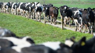 GDT up 1.5% signalling first increase since March