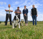 Co. Down location announced for 2023 World Sheepdog Trials