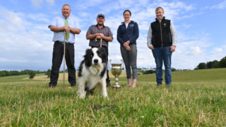 Co. Down location announced for 2023 World Sheepdog Trials