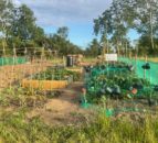 Pembrokeshire ag soc provides land for community garden