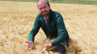 What constitutes the effective management of straw?